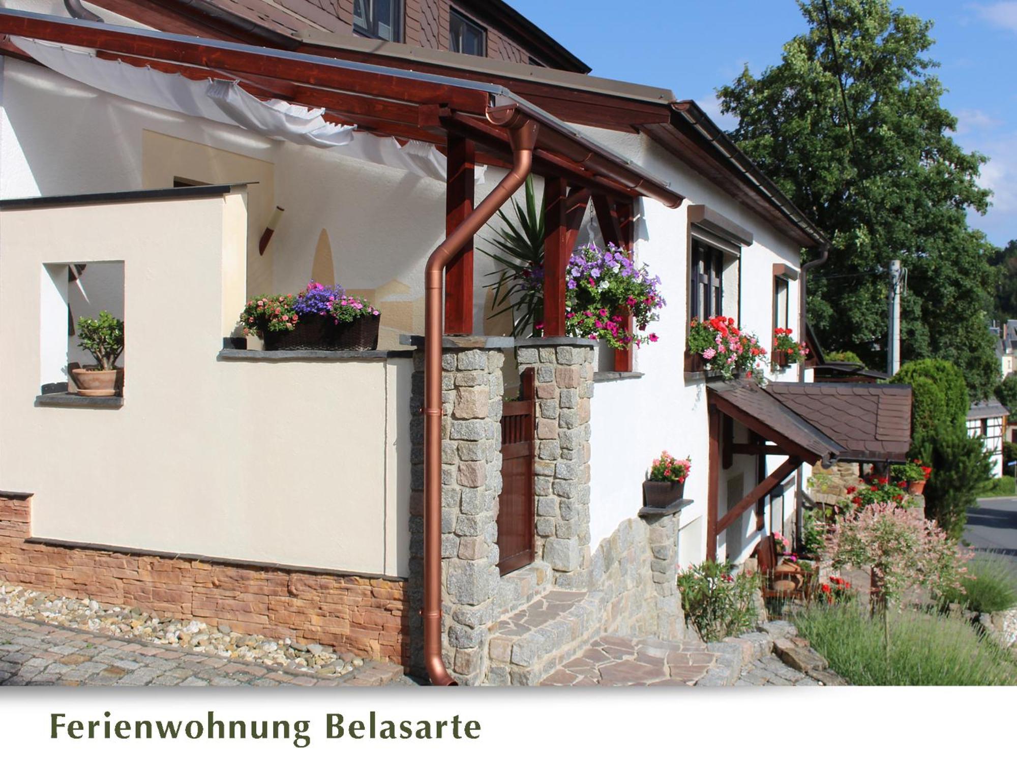 Ferienwohnung Belasarte Бад Елстер Екстериор снимка