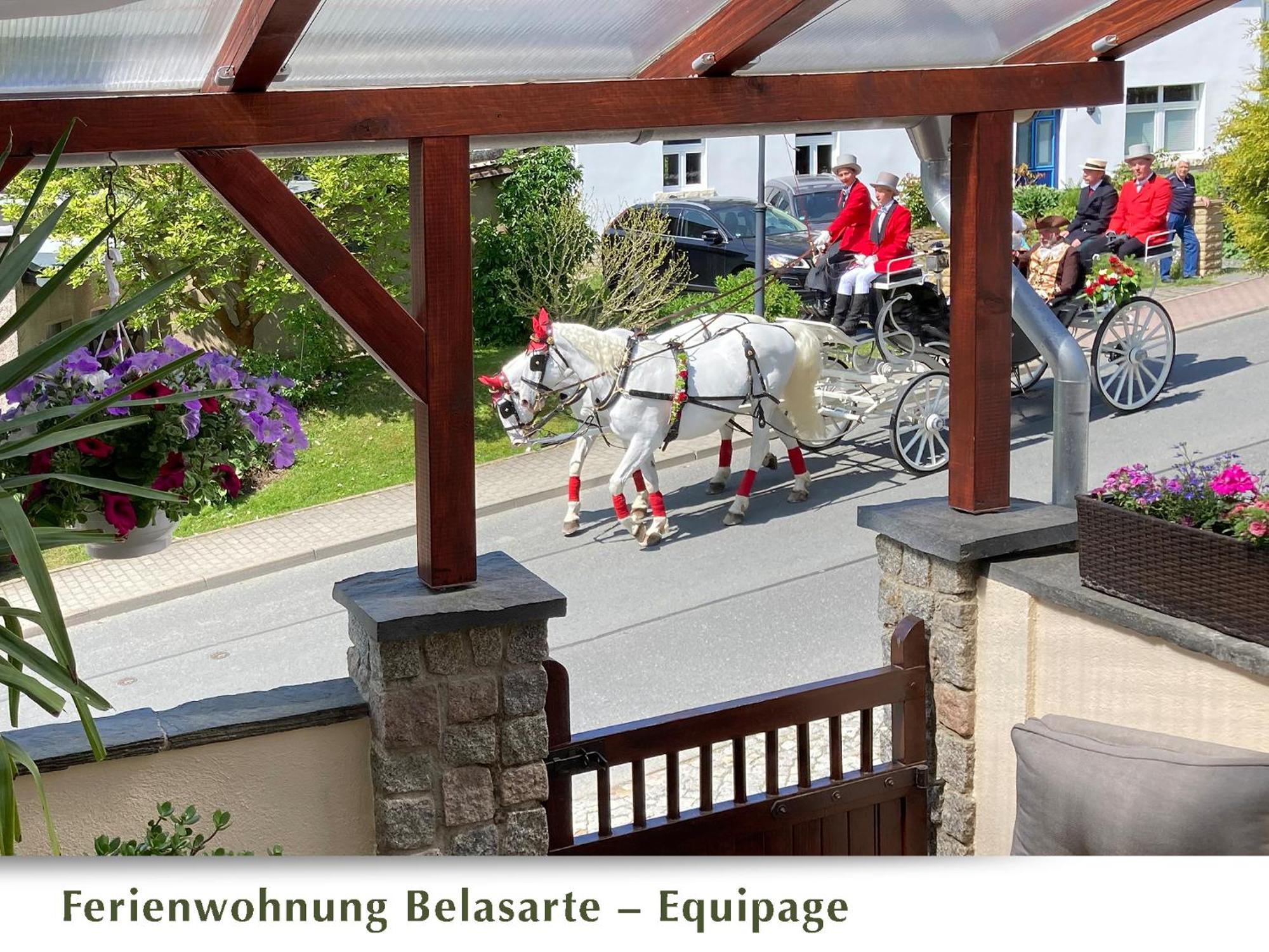Ferienwohnung Belasarte Бад Елстер Екстериор снимка